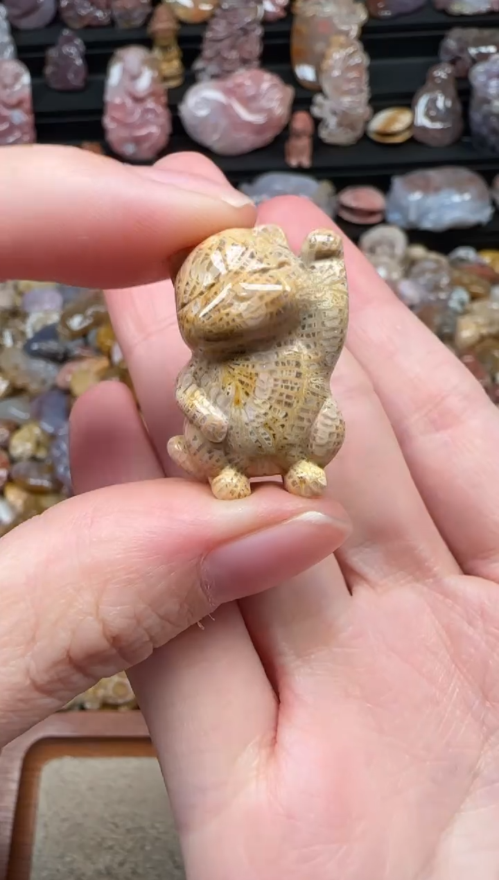 颈饰未镶嵌硅化珊瑚（珊瑚玉）241