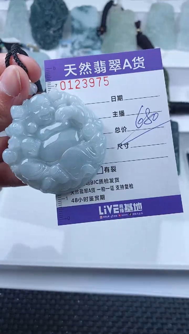 【闪购商品】翡翠颈饰未镶嵌         975