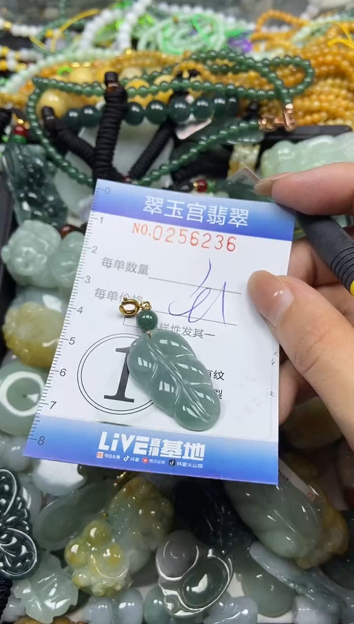 颈饰未镶嵌翡翠闪购C0256236