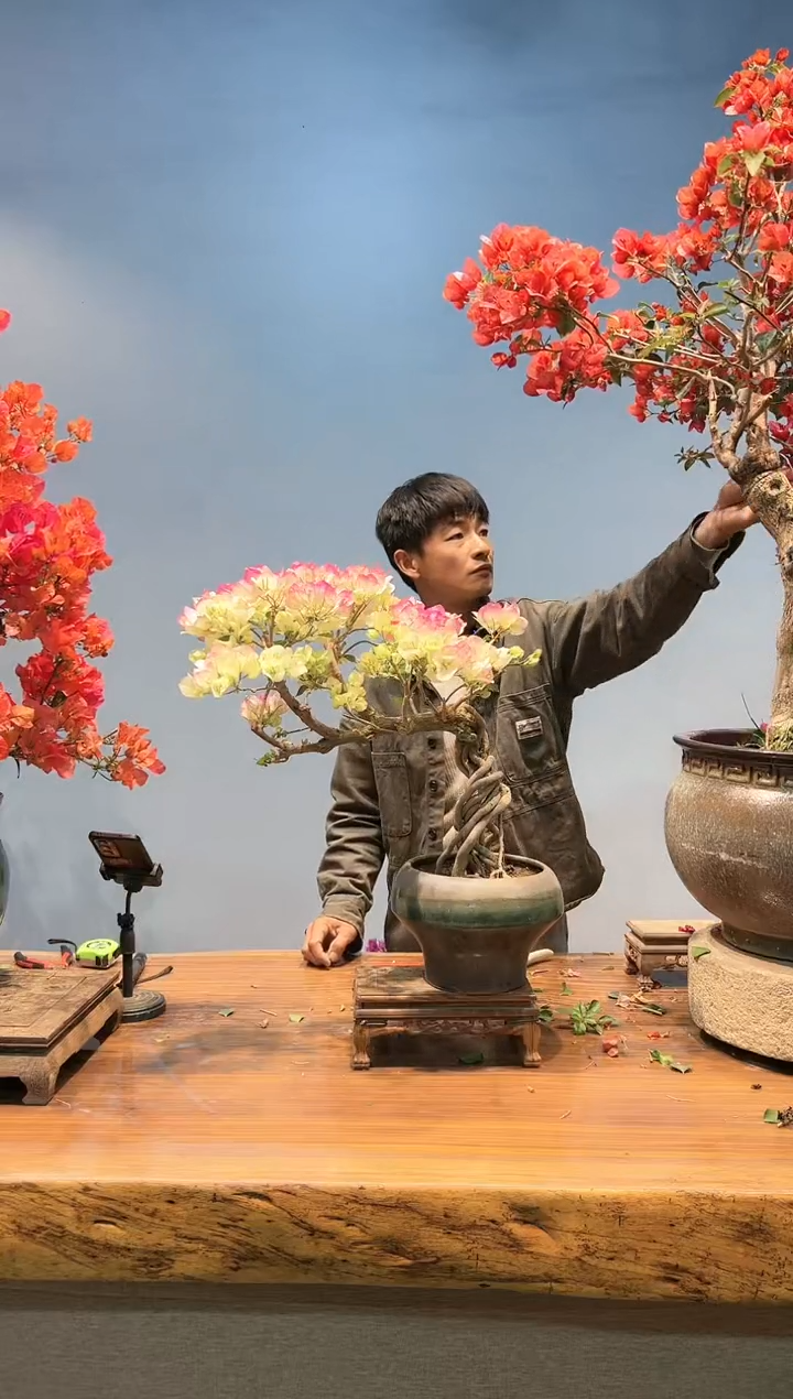 【闪购商品】aa915