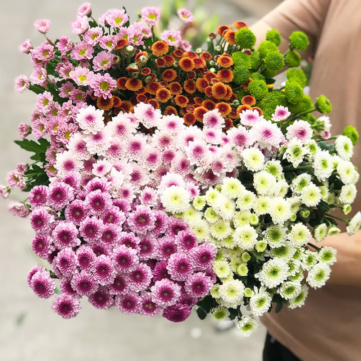 朝阳凌源小雏菊鲜花小菊花鲜切花混搭花束真花客厅办公室插花