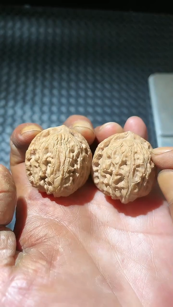 文玩核桃把件【超哥严选】33尺全品 一代龙胆元宝文玩核桃