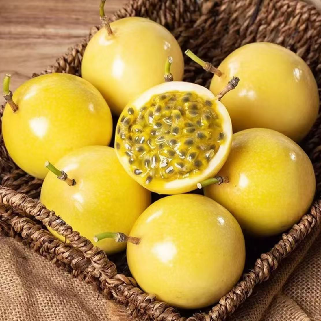 【广西钦蜜九号】黄金百香果黄金果赠开果器黄金百香果当季爆甜黄金