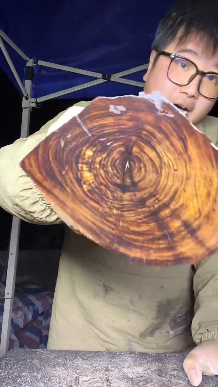 香榧木木头款贵州紫柚木原木33