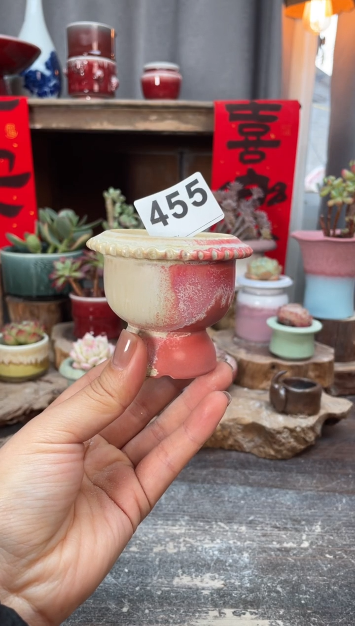 【闪购商品】摆件455知木小芳花盆