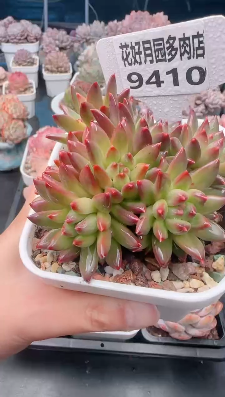 【闪购商品】9410.