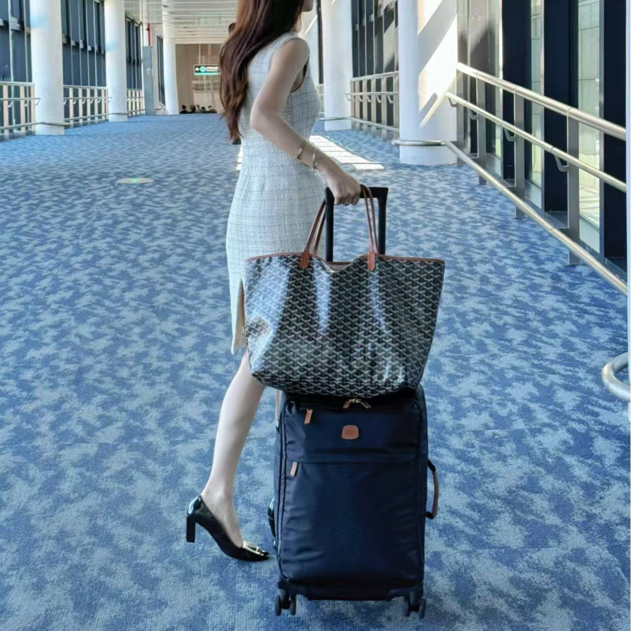 95新 Goyard 坤球奢选 戈雅托特包