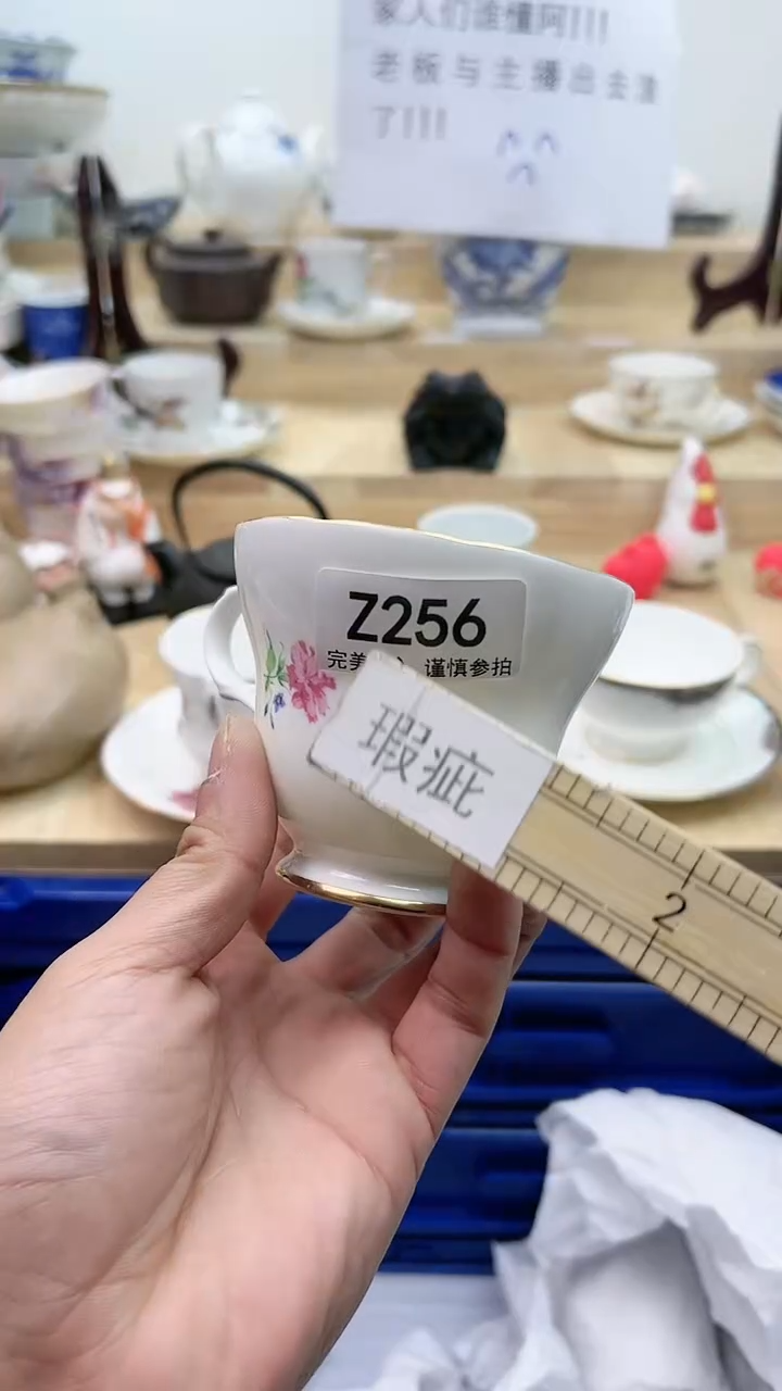 【闪购商品】瓷片256