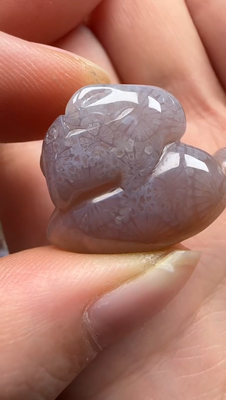 【闪购商品】硅化珊瑚（珊瑚玉）颈饰未镶嵌427