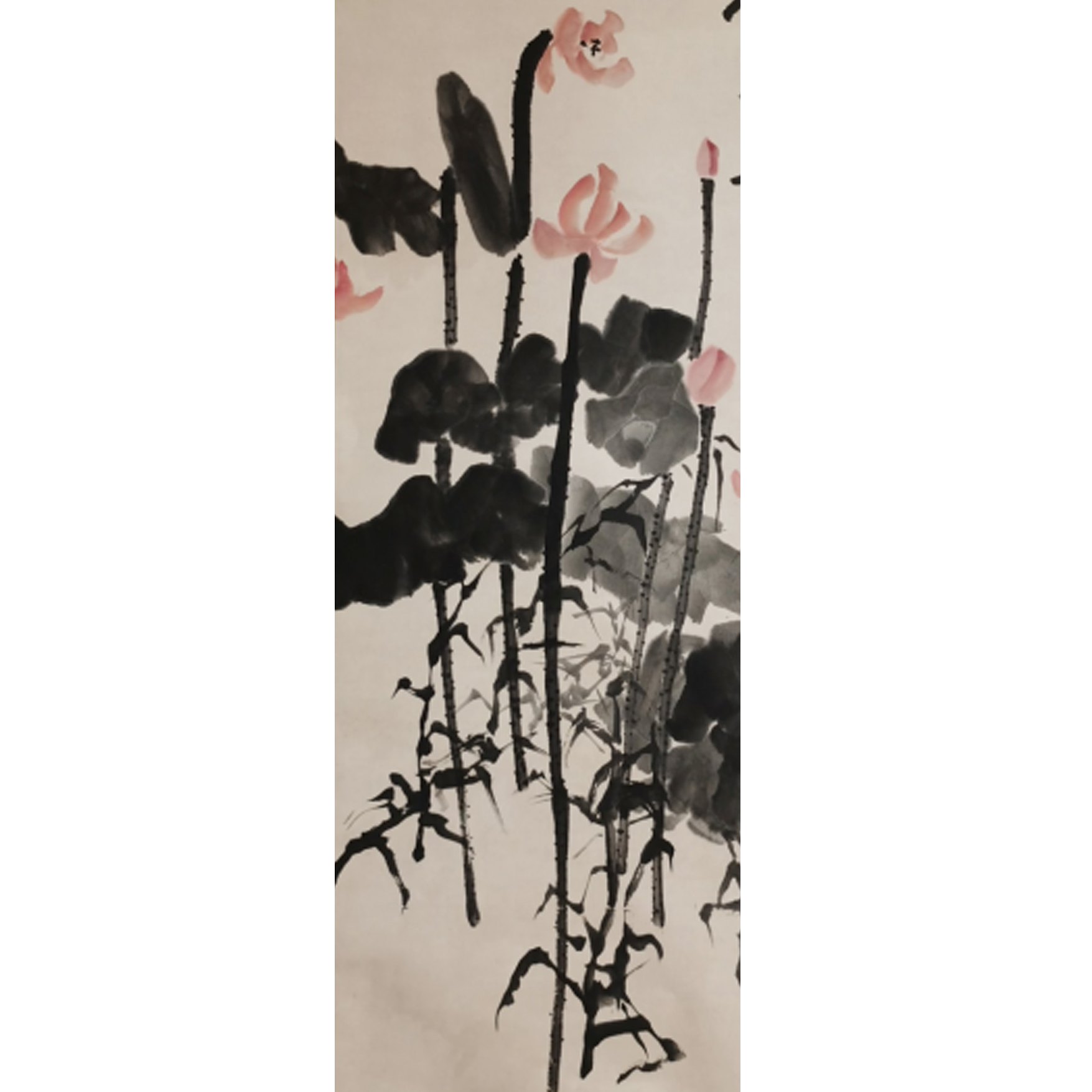 【辽拍】V250709-2-751《荷花》（7.4平尺) 纸本镜片 yy1226t