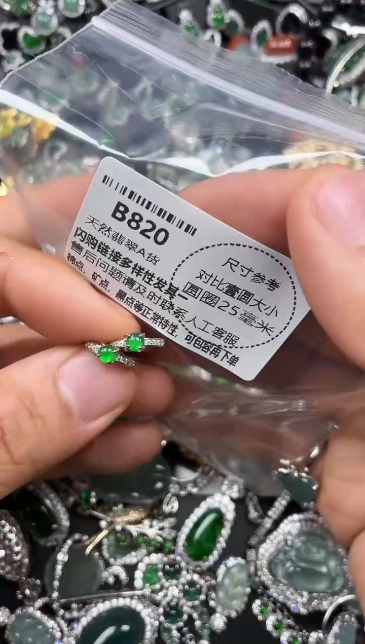 颈饰未镶嵌翡翠B820耳扣