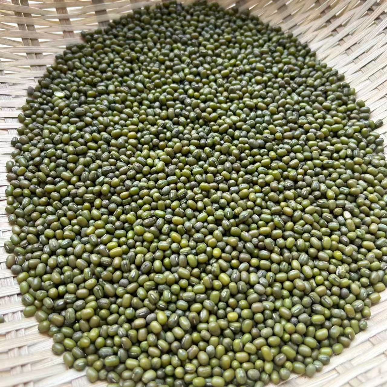 绿豆 大别山老乡自种绿豆