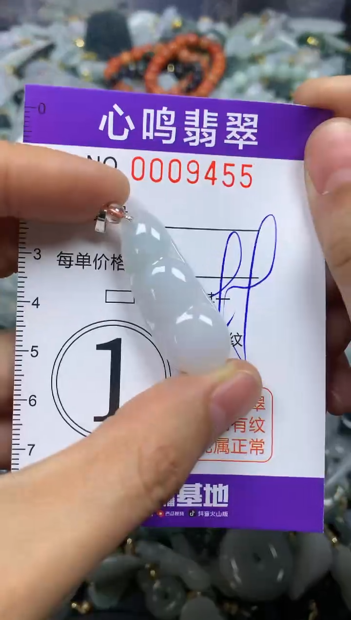 【闪购商品】翡翠颈饰未镶嵌闪购009455