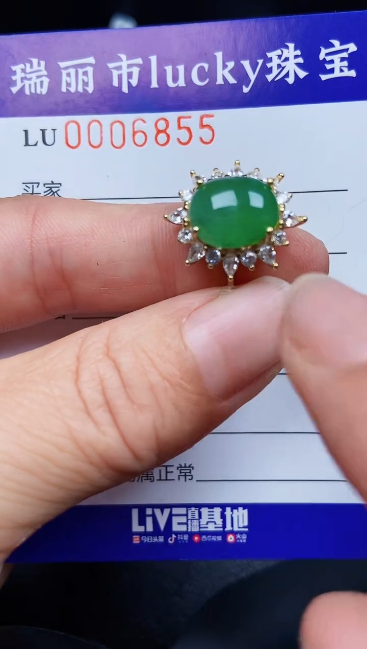 翡翠银S925镶嵌颈饰6855