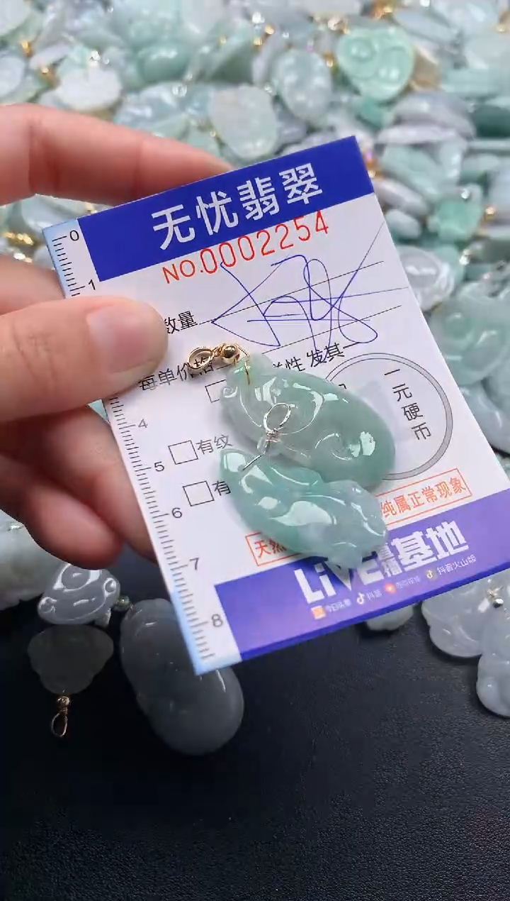 颈饰未镶嵌翡翠2254