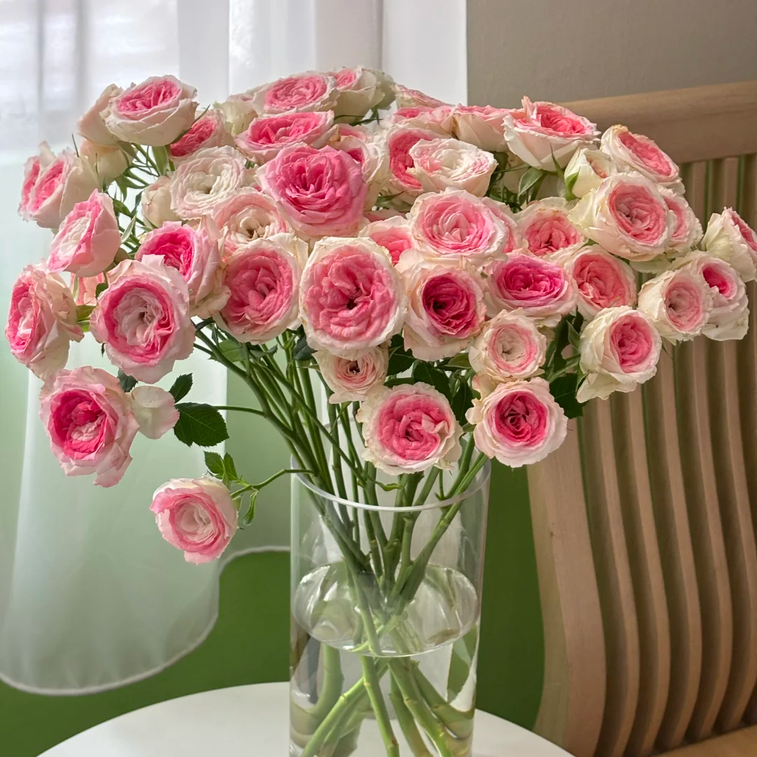 【午夜魔法多头泡泡10支】云南鲜花基地直发任意两件包邮送货上门