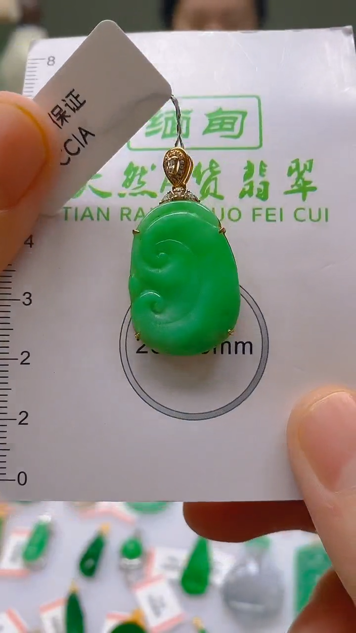 【闪购商品】翡翠颈饰18K金镶嵌新号开播，全场乱卖