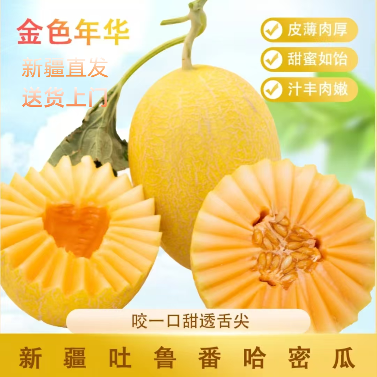 【新鲜采摘】Z 吐鲁番黄金哈蜜瓜金色年华新鲜水果脆甜多汁