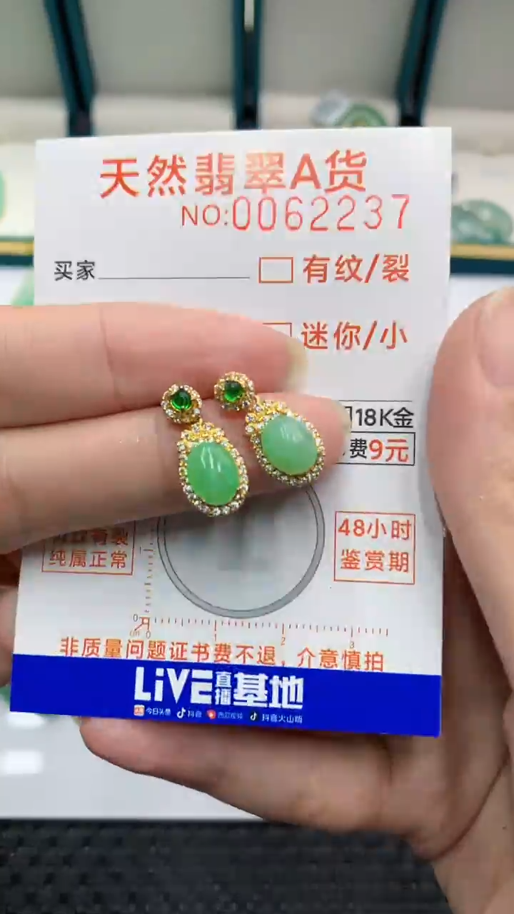 【闪购商品】翡翠颈饰银S925镶嵌            8