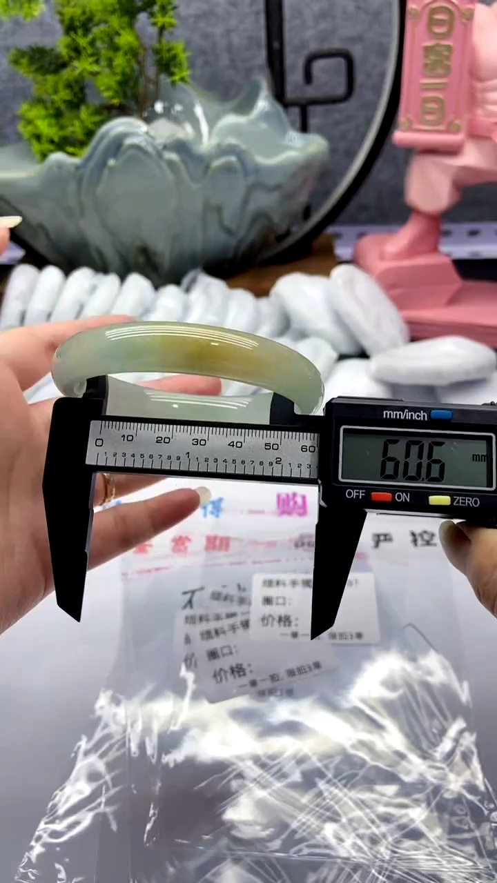 所见即所得！拍啥是啥！81