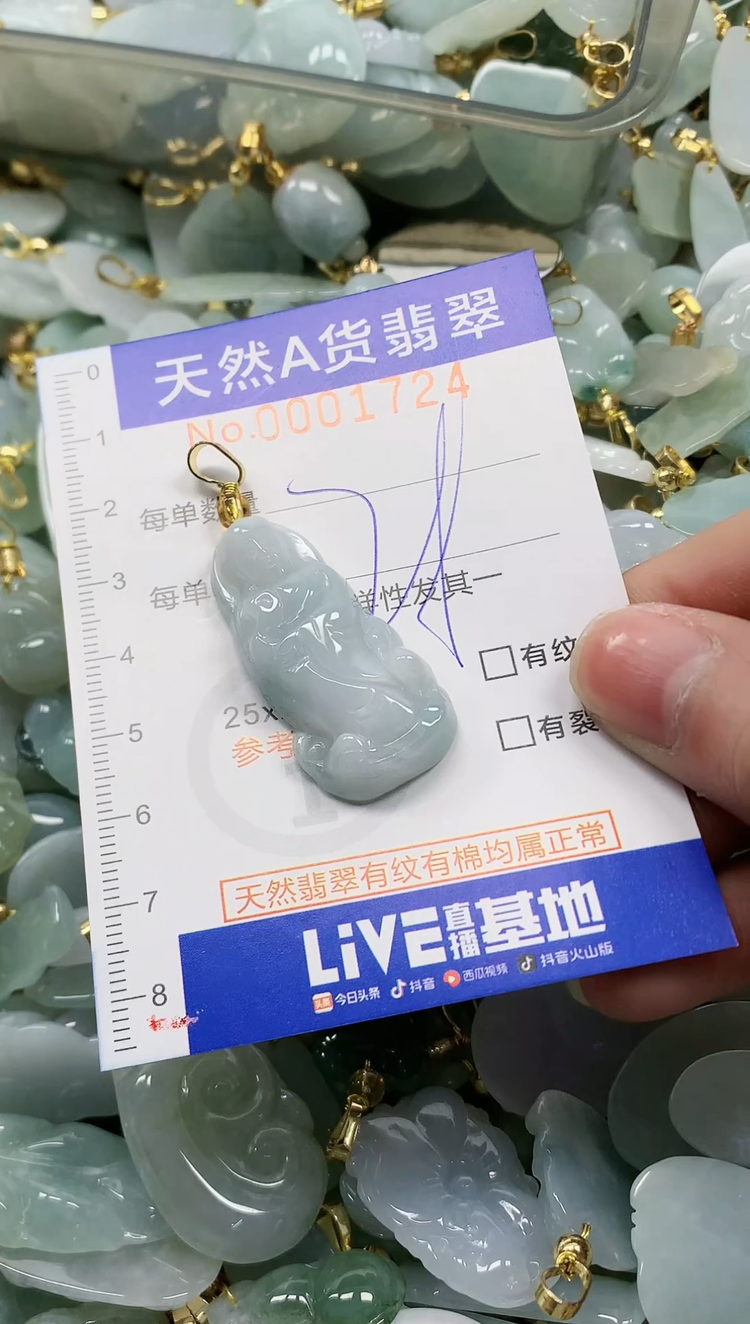 颈饰未镶嵌翡翠纯天然a货翡翠