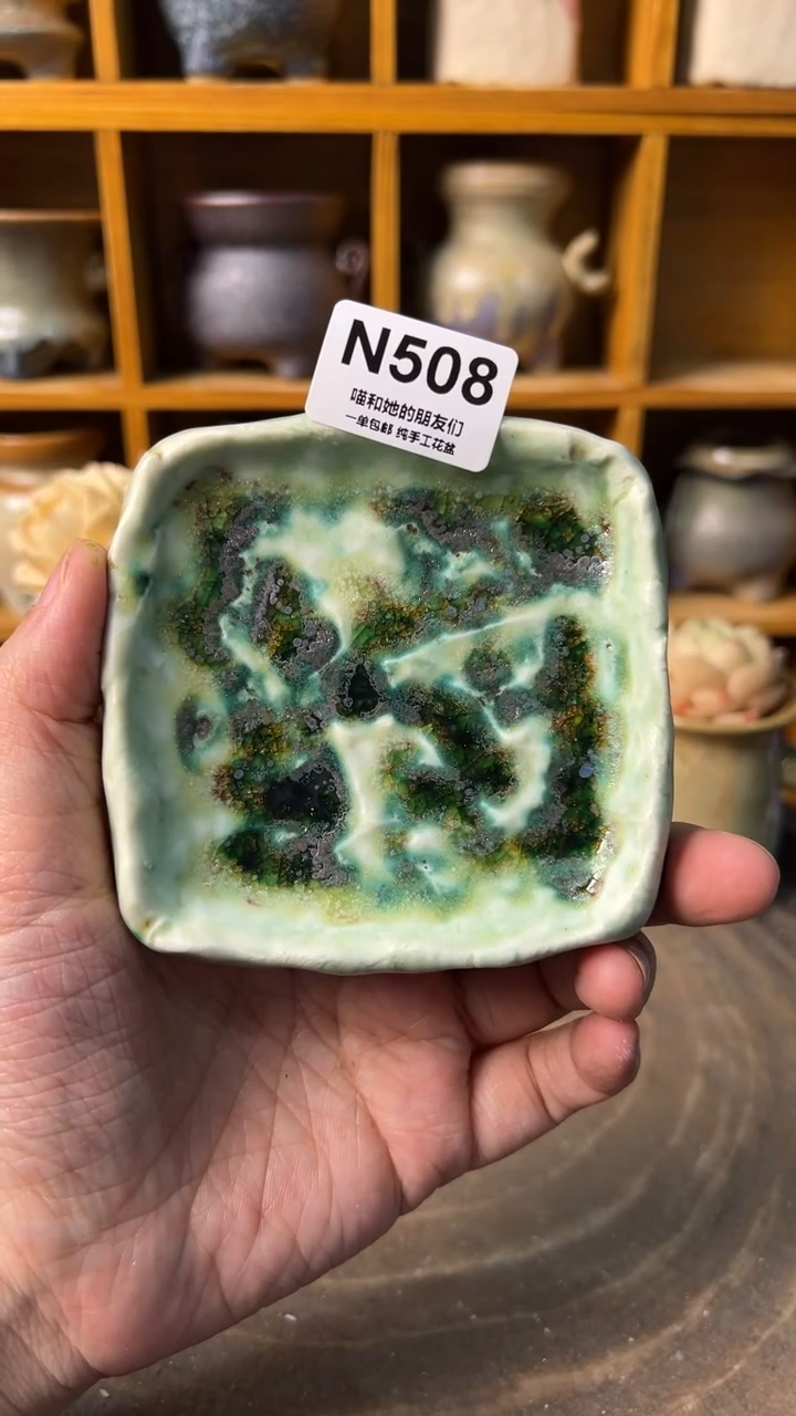 508 托盘【多肉花盆多肉盆】