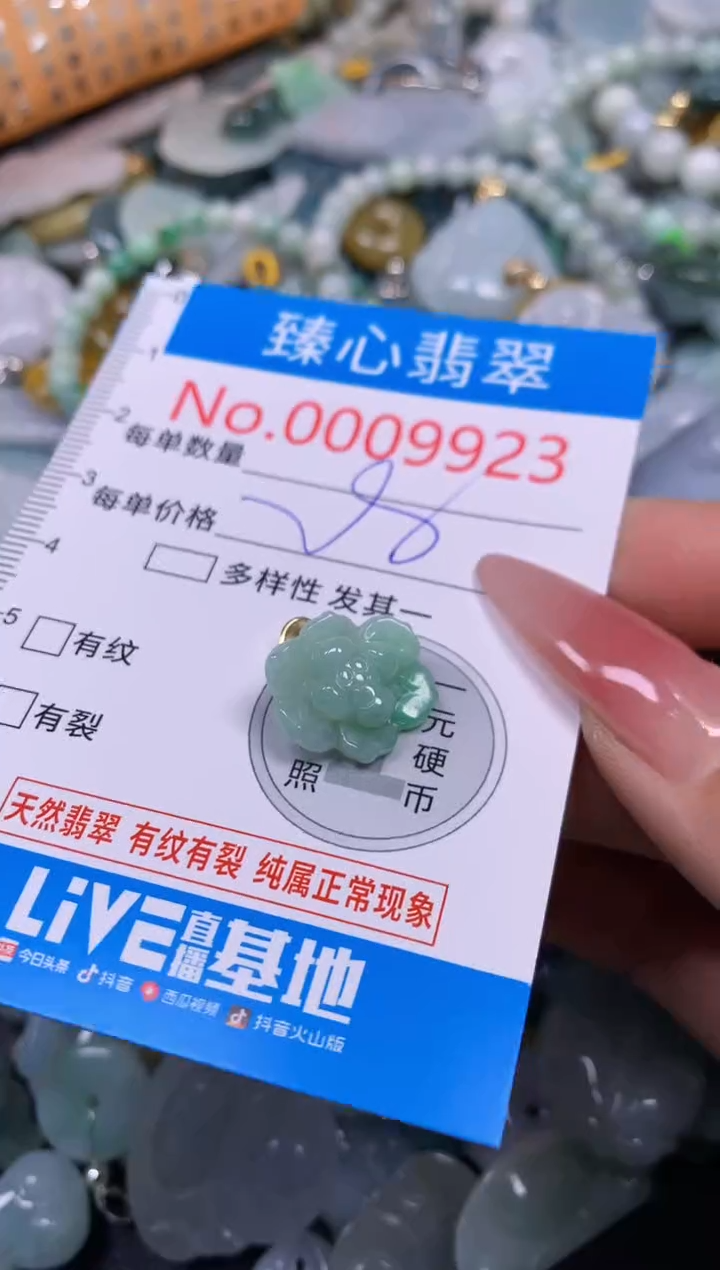 【闪购商品】翡翠颈饰未镶嵌含绳0009923