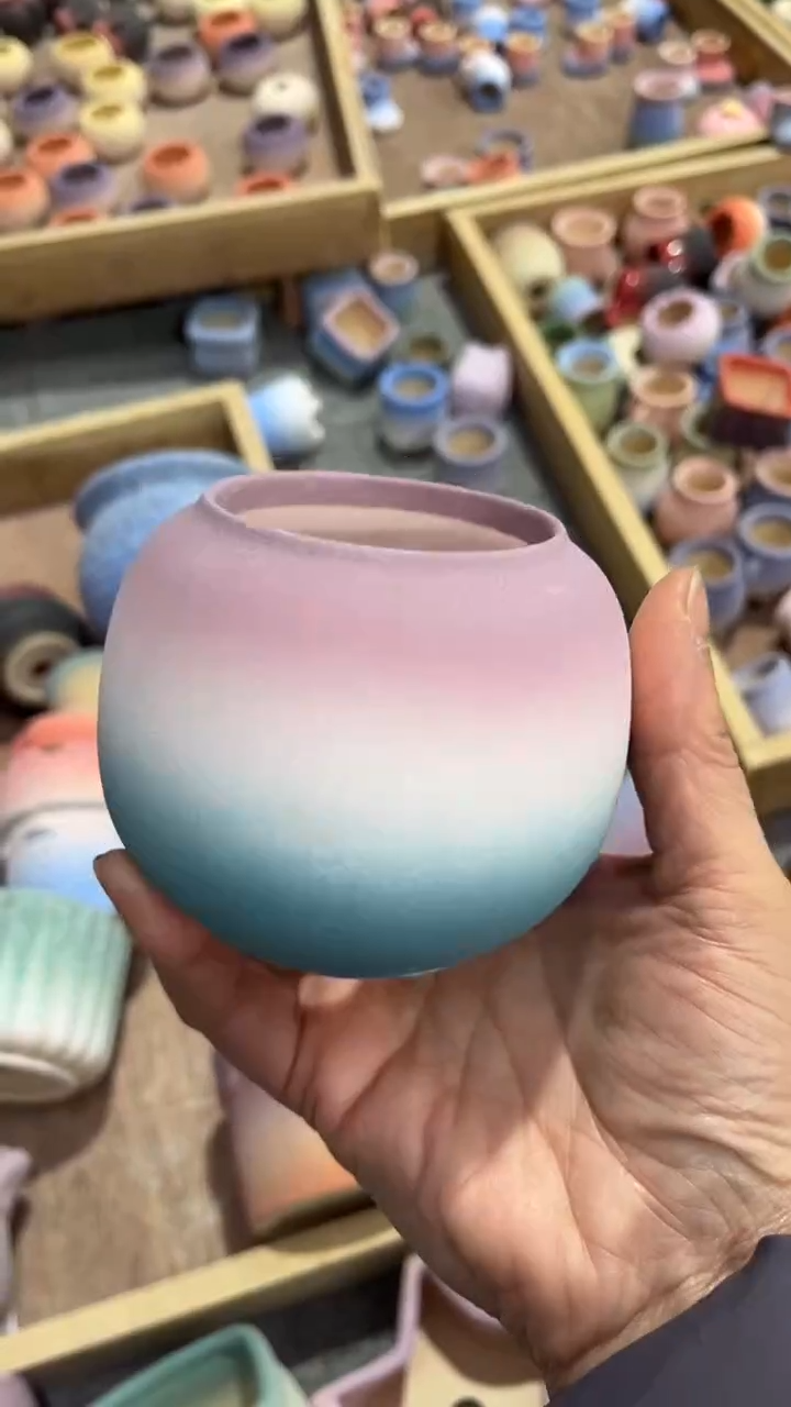 【闪购商品】红陶6.*6.5