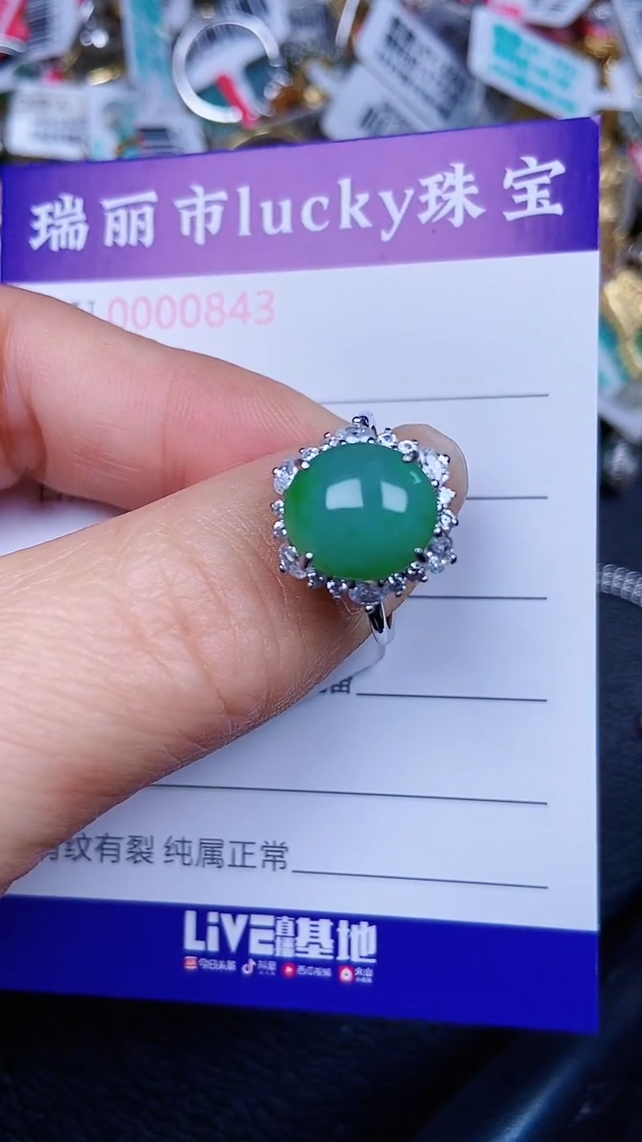 颈饰银S925镶嵌翡翠1843