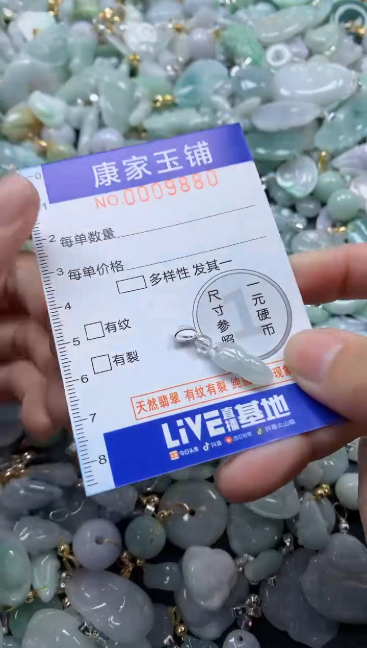 颈饰未镶嵌翡翠9879