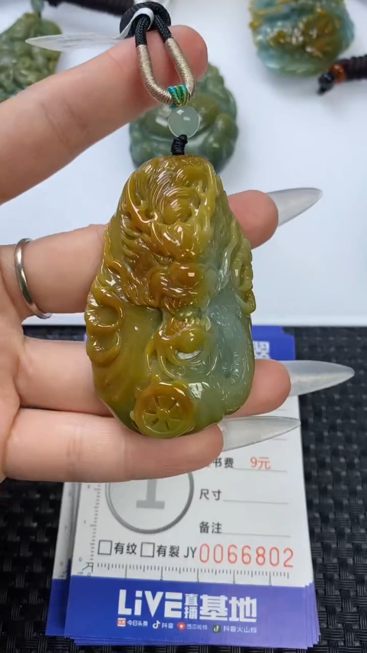 【闪购商品】翡翠颈饰未镶嵌1111111111111111