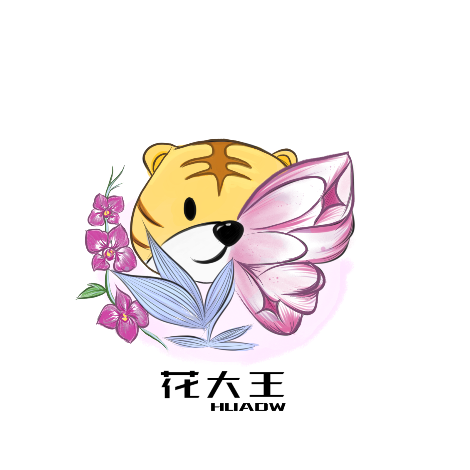 花大王福袋【实生苗】精美盆栽 基地直供