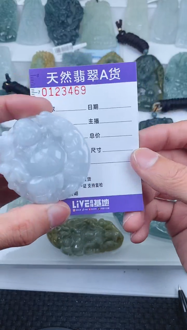 【闪购商品】翡翠颈饰未镶嵌      469