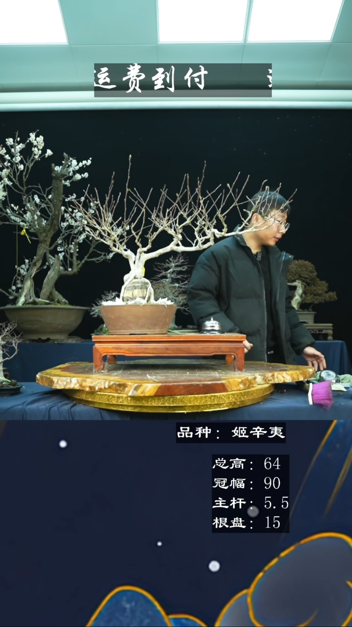 【闪购商品】无铅玻璃116931