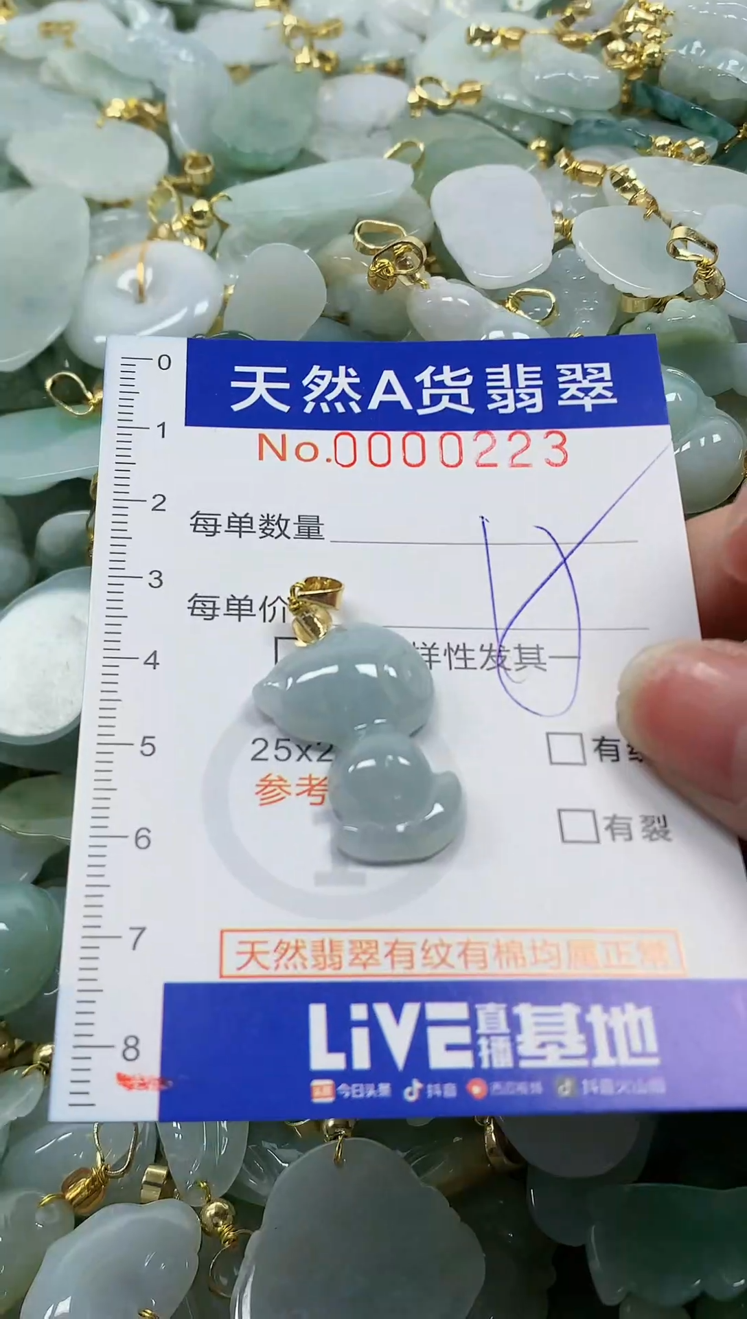 颈饰未镶嵌翡翠纯天然a货翡翠