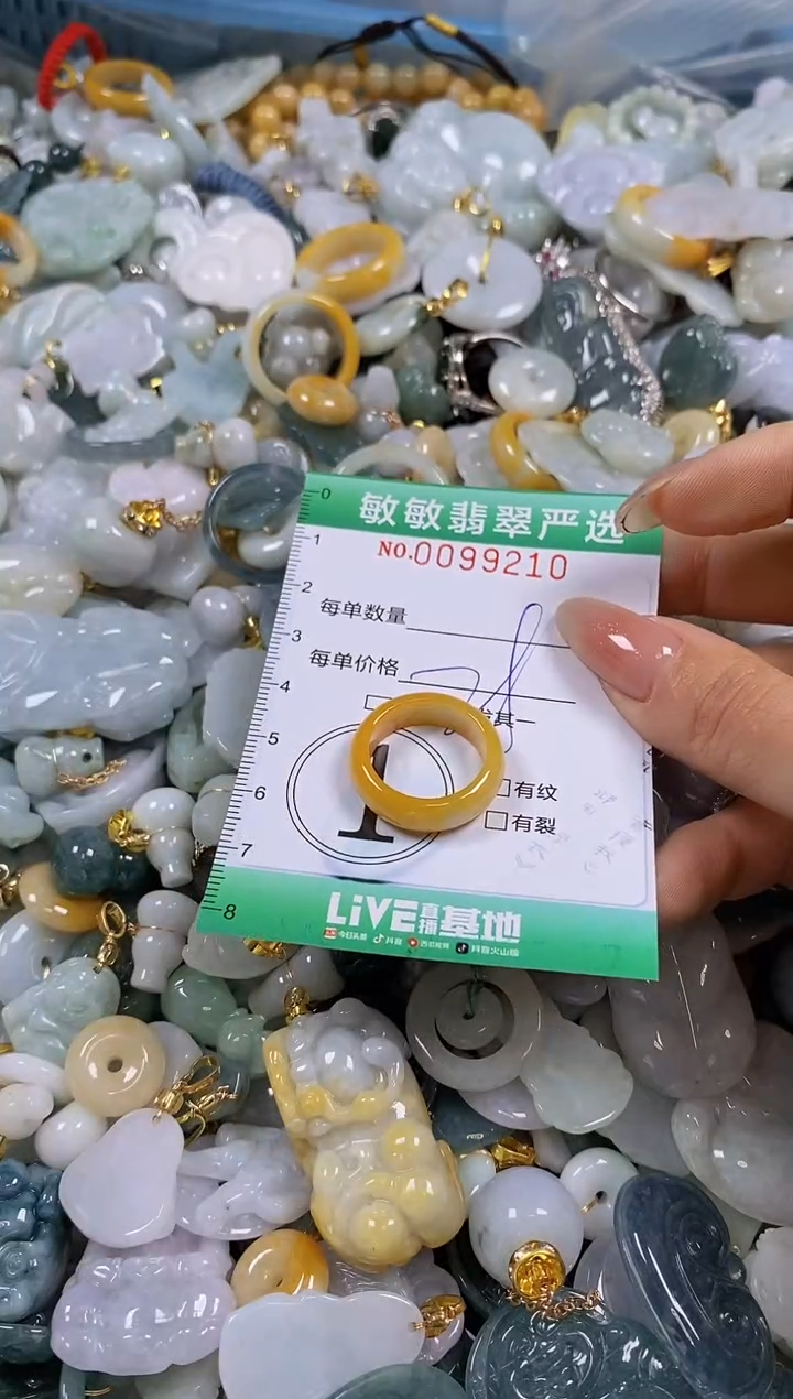 【闪购商品】翡翠颈饰未镶嵌闪购0099210