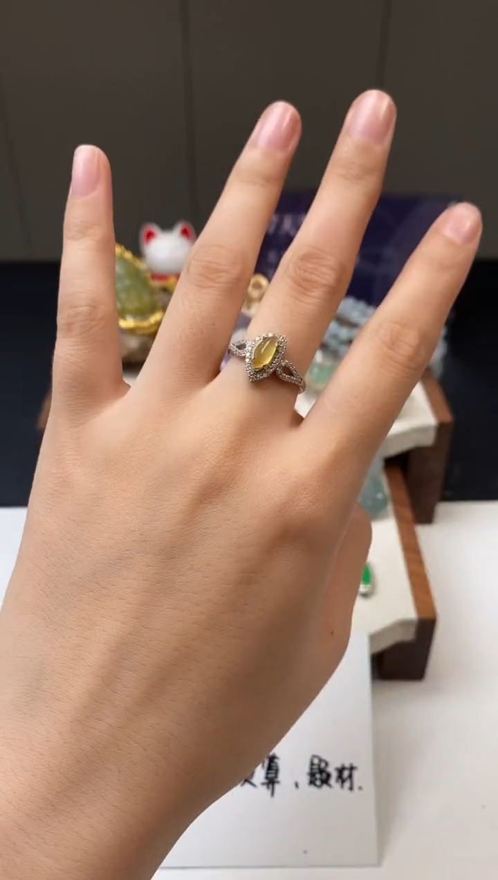 【闪购商品】翡翠颈饰未镶嵌戒指