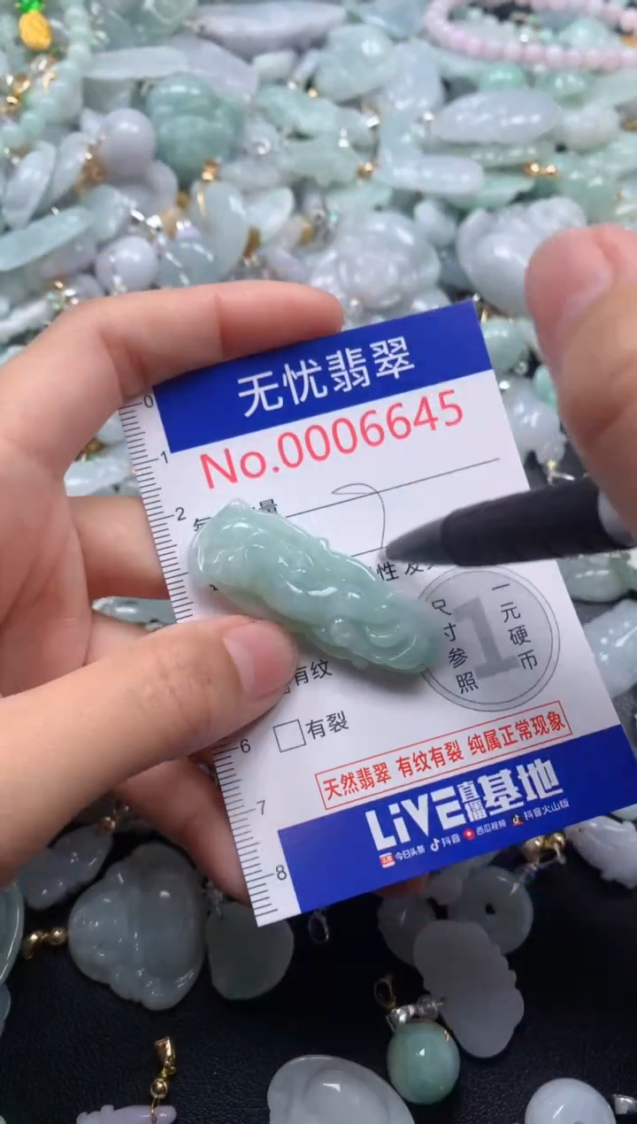 颈饰未镶嵌翡翠6645