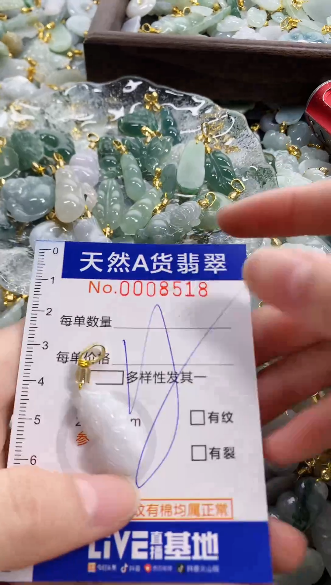 颈饰未镶嵌翡翠天然A货翡翠