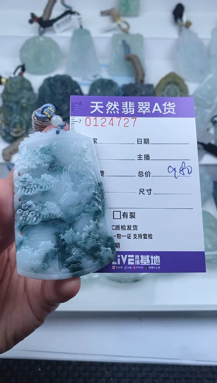 【闪购商品】翡翠颈饰未镶嵌         727