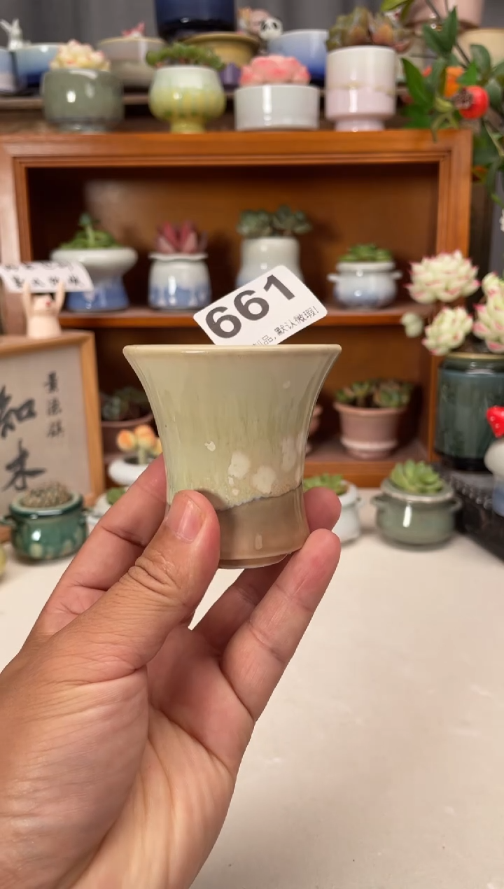 瓷片661知木花盆小芳