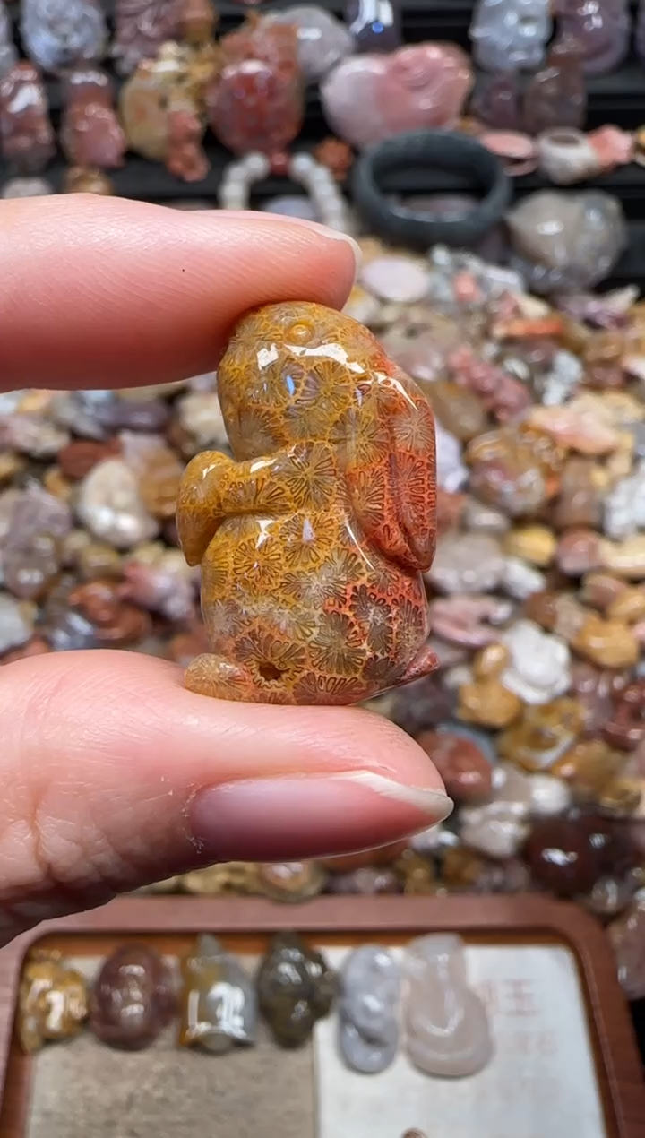 颈饰未镶嵌硅化珊瑚（珊瑚玉）398