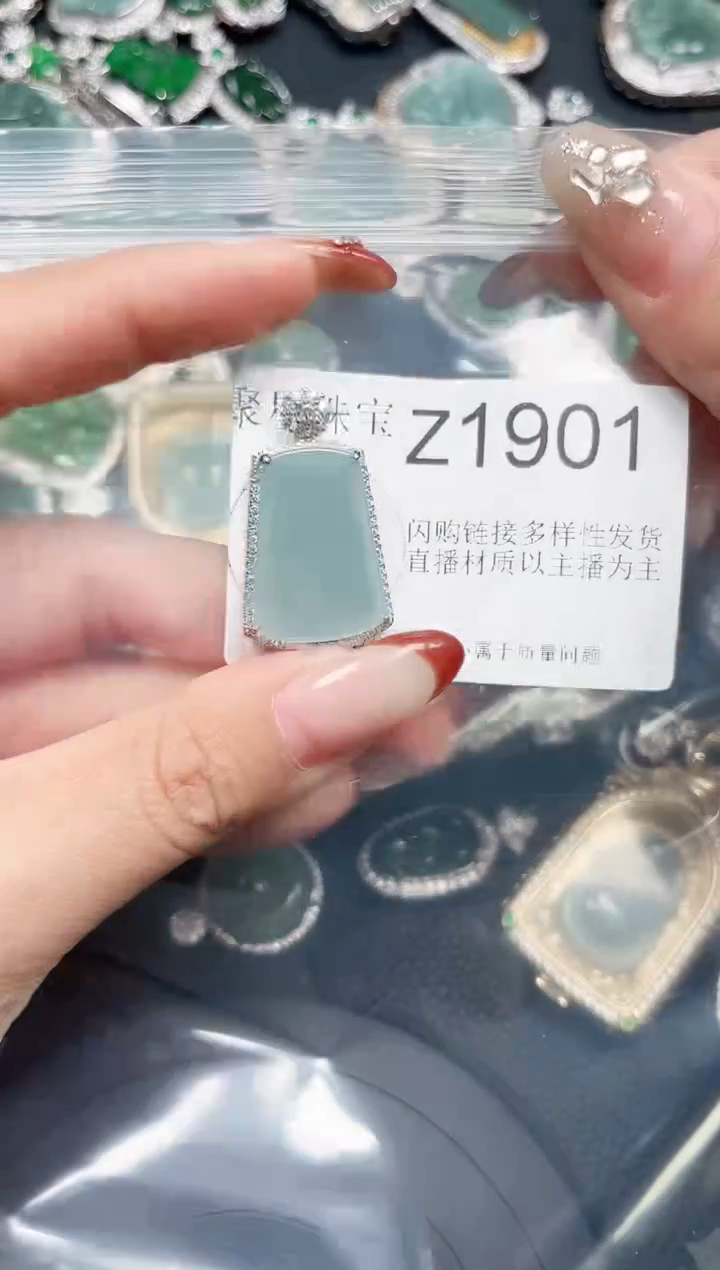 【闪购商品】翡翠颈饰未镶嵌赠皮绳1901