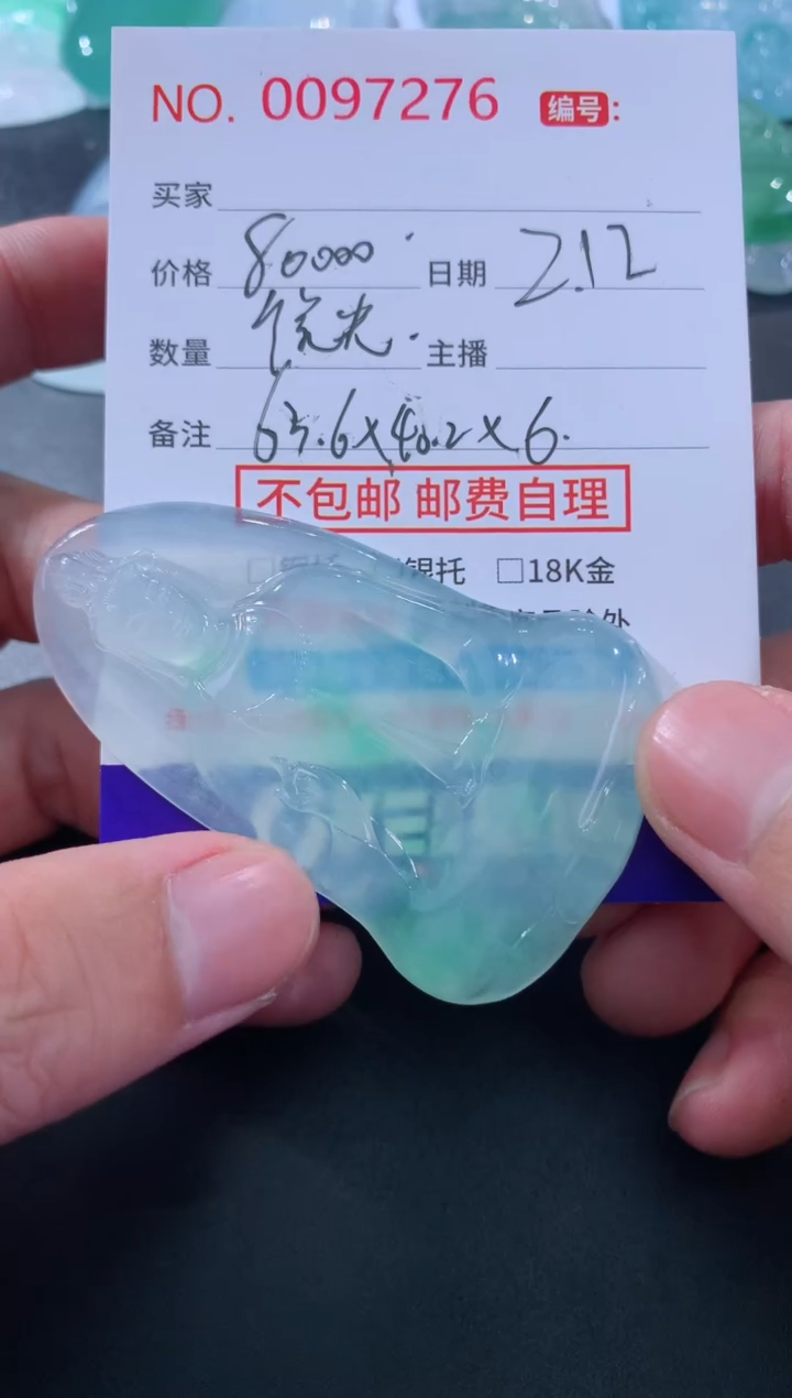 【闪购商品】翡翠颈饰未镶嵌定金2