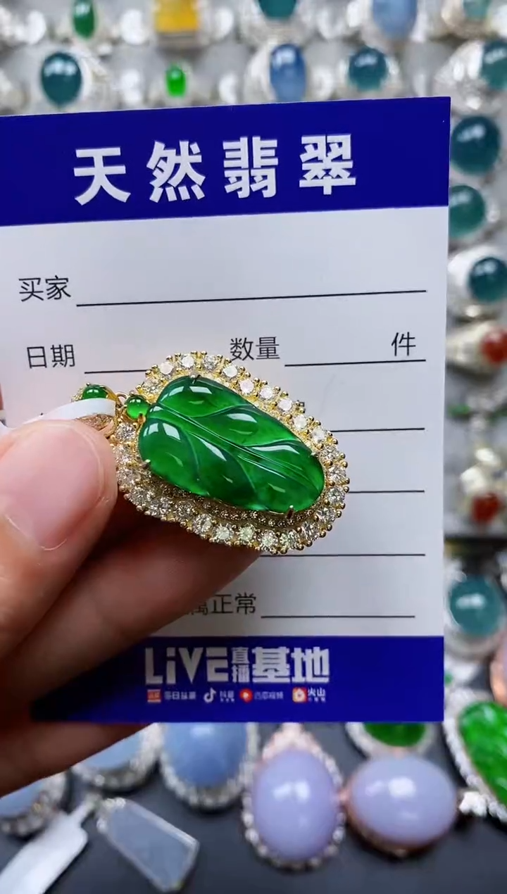 【闪购商品】翡翠颈饰银S925镶嵌0073
