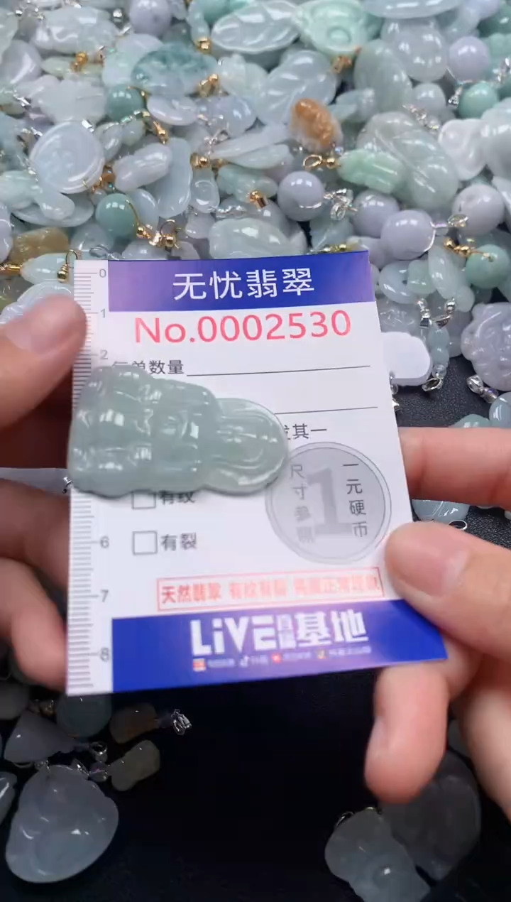 颈饰未镶嵌翡翠2530