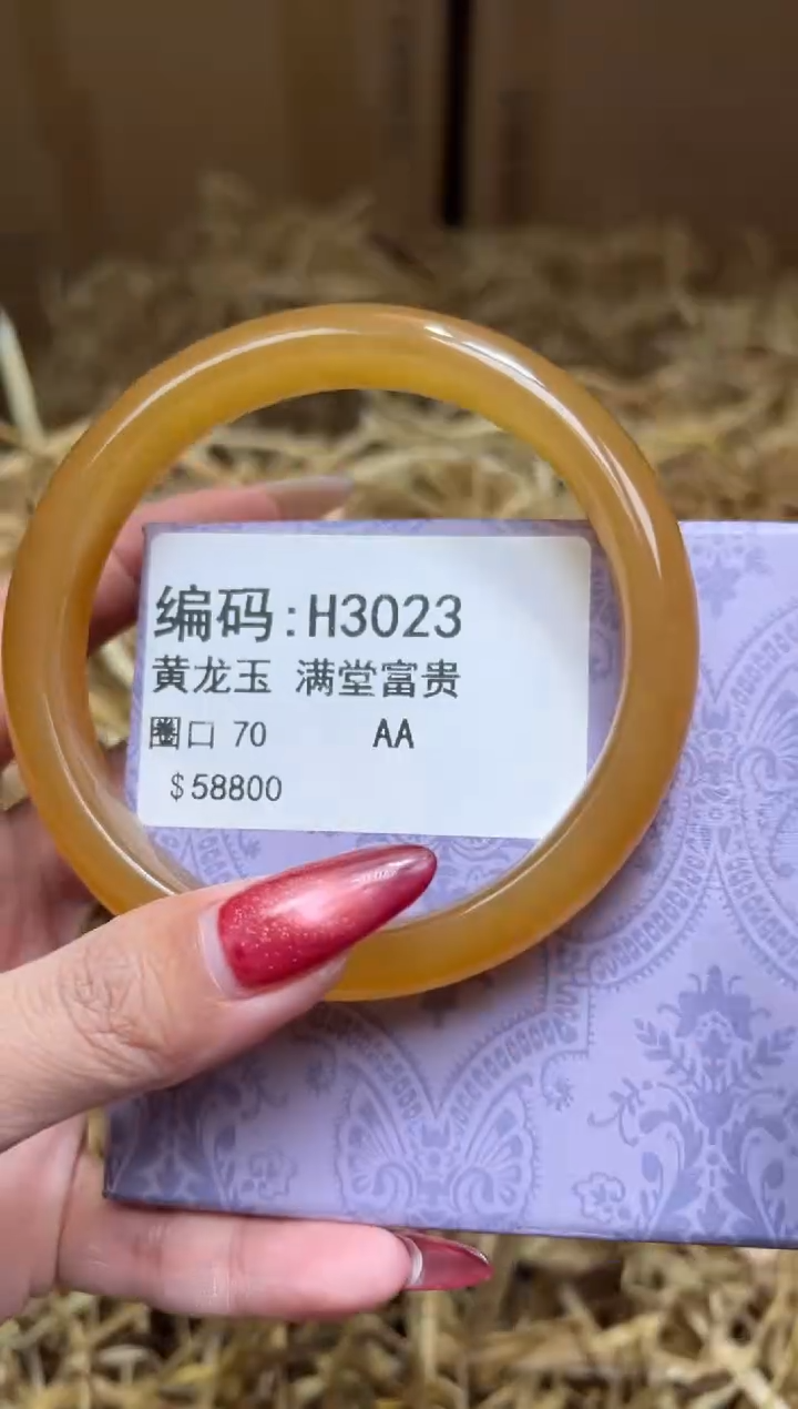 未镶嵌手镯石英质玉H3023