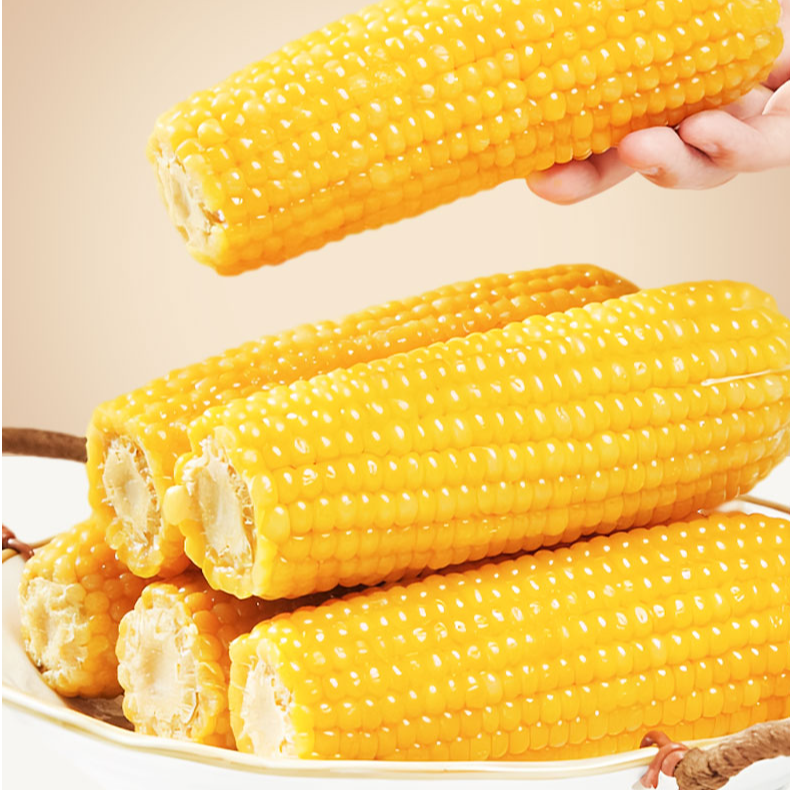 （试吃两支）正宗25年东北黄糯玉米整箱10支黏糯好吃真空包装