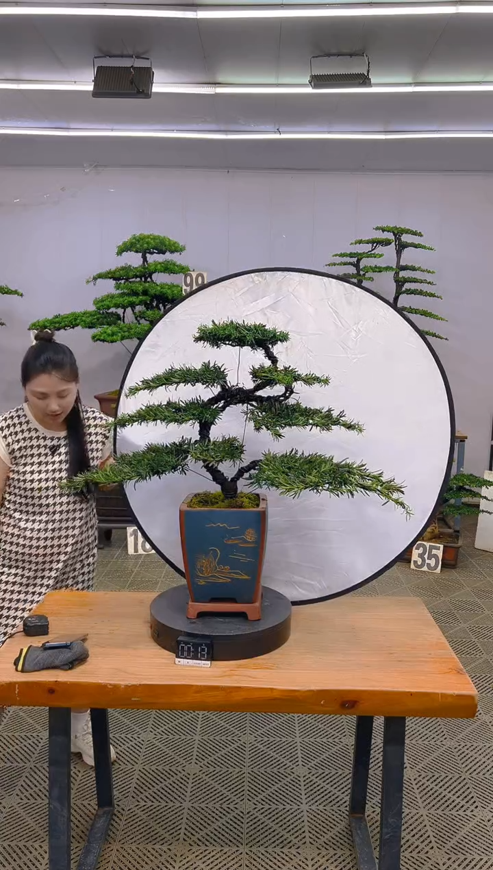 无花朵一物一拍一物一拍