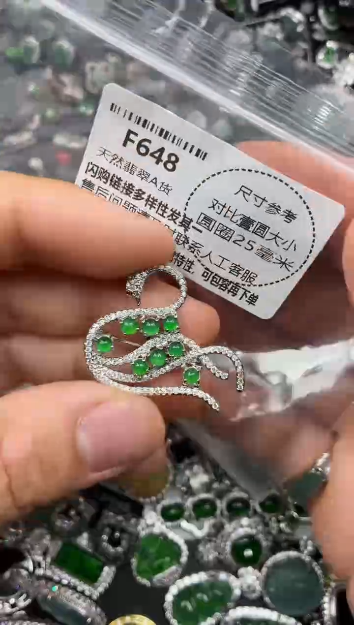 颈饰未镶嵌翡翠F648胸针